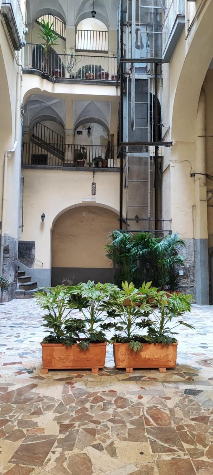 La Chicca Appartamento Intero Nei Quartieri Spagnoli Napoli Dış mekan fotoğraf